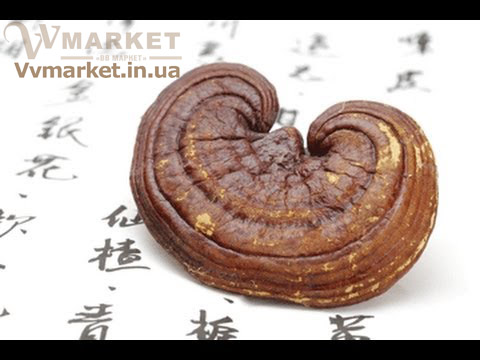 Купить Рейши плюс (Reishi plus), 30 капсул с доставкой в Киев, Житомир, Белая Церковь, Херсон, Днепропетровск, Донецк, Харьков, Мариуполь, Полтава, Львов, Тернополь, Ужгород, Запорожье, Ровно, Украина, Россия, Казахстан